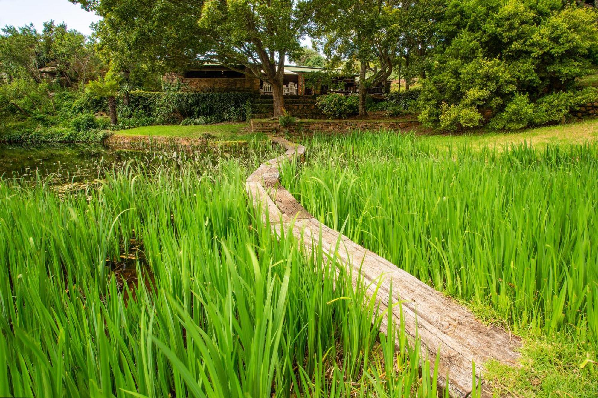 Paardeplaats Nature Retreat Rhenosterhoek Eksteriør bilde