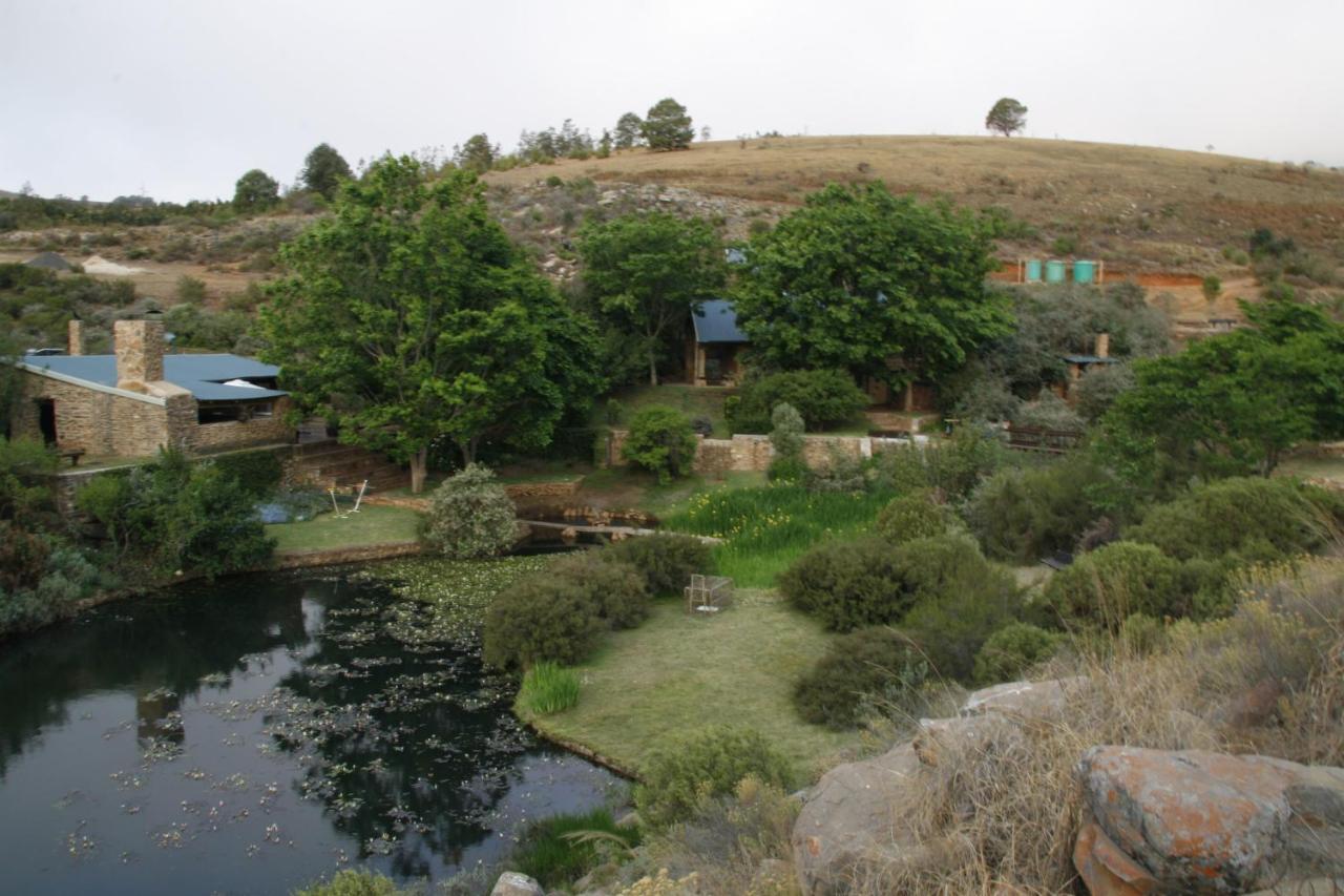 Paardeplaats Nature Retreat Rhenosterhoek Eksteriør bilde